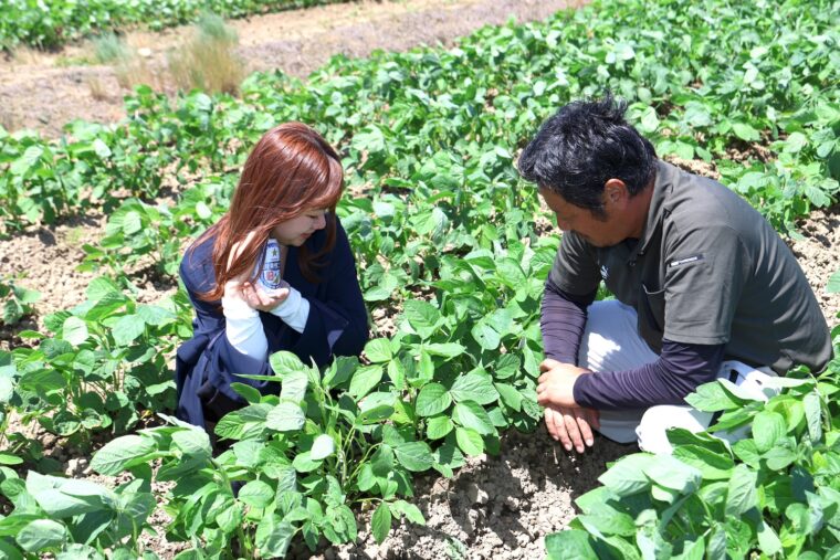 初めて枝豆の栽培現場を目の当たりにした柿崎さん。興味津々の様子で、西村さんに次々と質問を投げかけていました