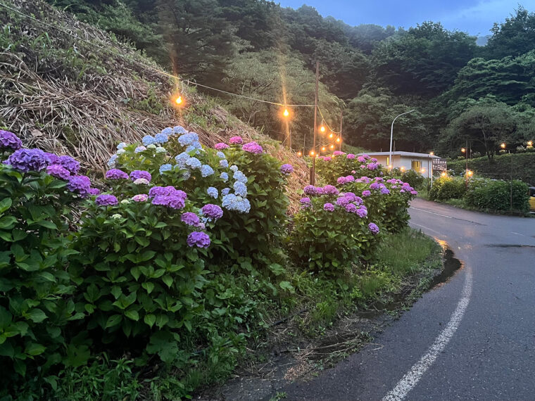 夜のライトアップ