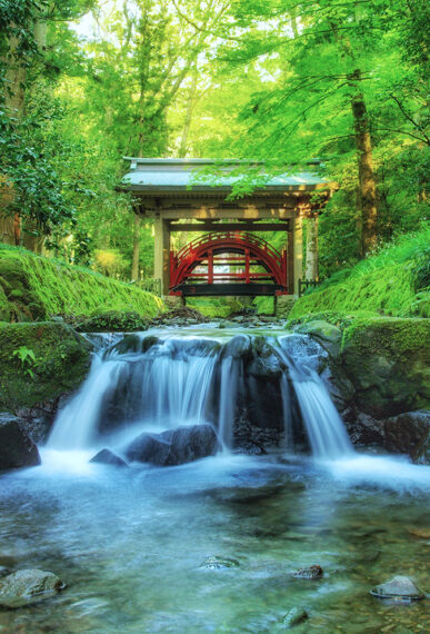 玉の橋の下を流れる御手洗川のせせらぎに心洗われる