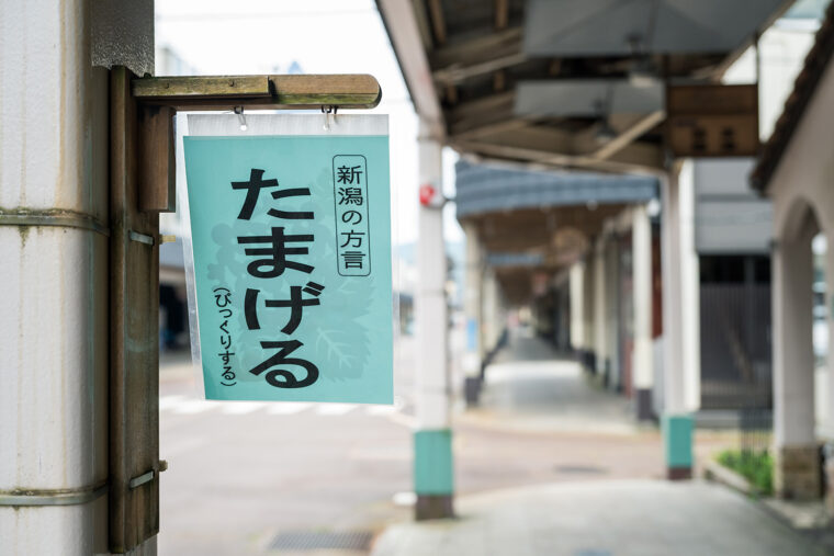 加茂の方言が書かれた看板がおもしろい！