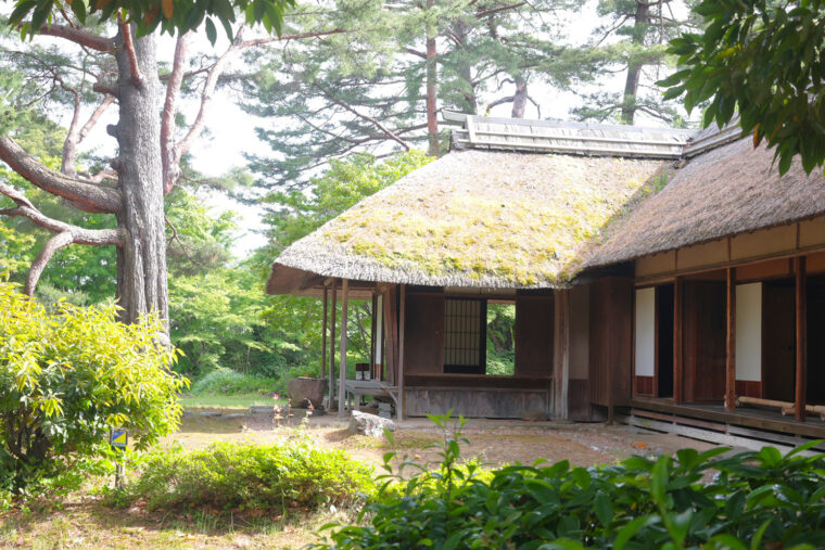 緑に囲まれた茅葺き屋根が印象的で趣を感じられる