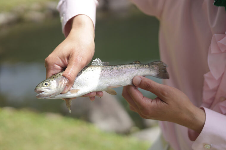 手ぶらで訪れても体験OK！　ニジマス、ヤマメ、イワナがすぐ釣れます。釣った魚は炭火焼きできる！　うまいに決まってる！