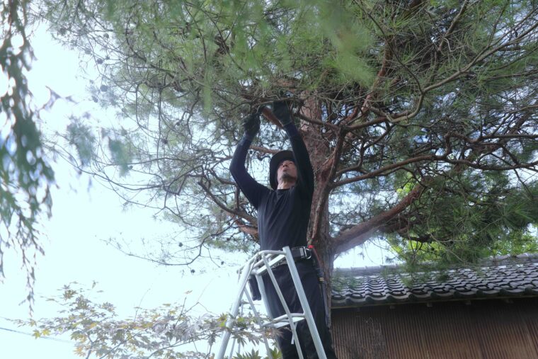 晴庭 仁乃風 代表で一級造園技能士の高山直仁さん