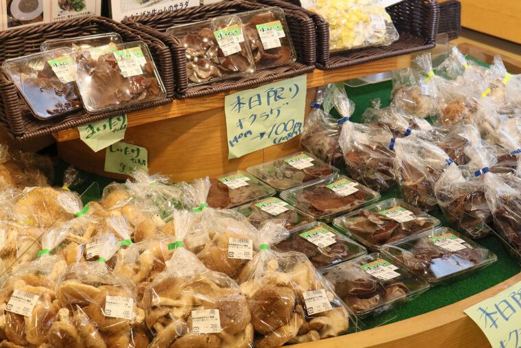 長岡市たかやまきのこ園の直送キノコ。BBQや煮物料理に