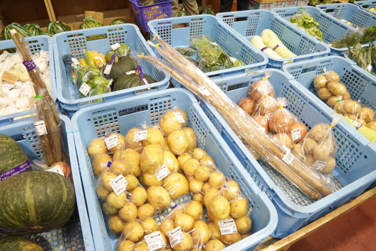 毎日70品目ほどの野菜を生産者ごとに並べています