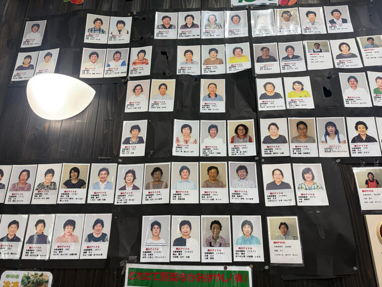 「畑のアイドル」と称した女性生産者の写真がズラリ