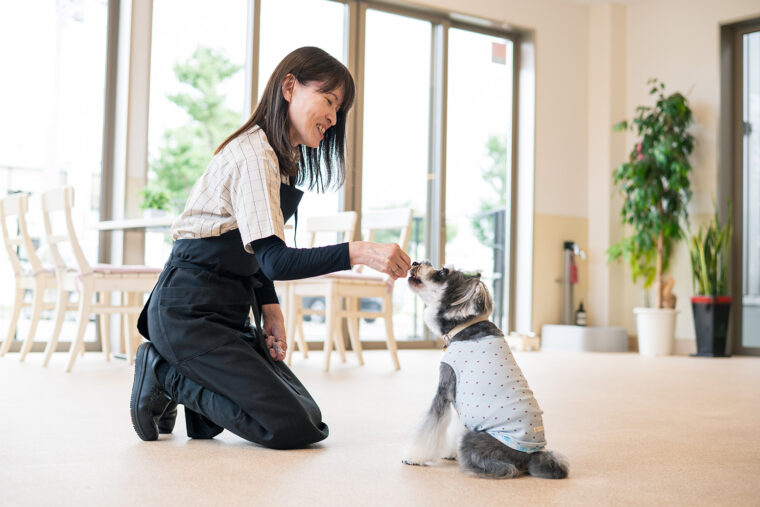 愛玩動物看護師や全日本愛犬技術者協会トリマーをはじめ、多数の資格を取得する中野さん。確かな技術と知識でペットの生涯に寄り添う