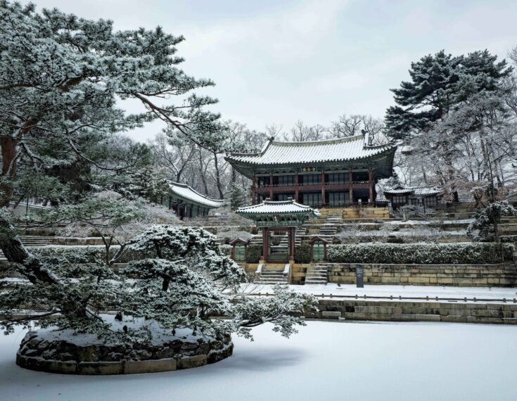 昌徳宮の秘苑の雪景色